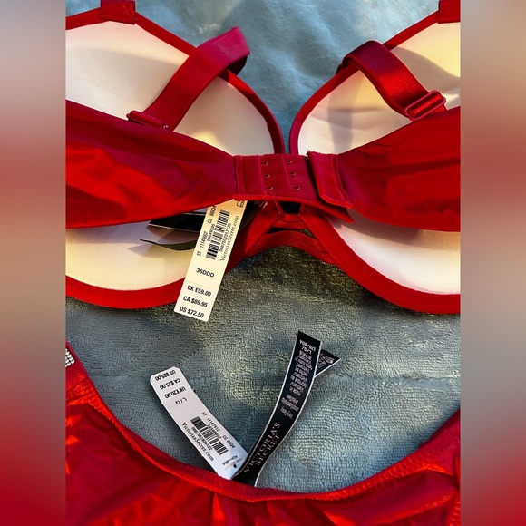 Victoria’s Secret Crystal Bra and Panties - Picture 5 of 7